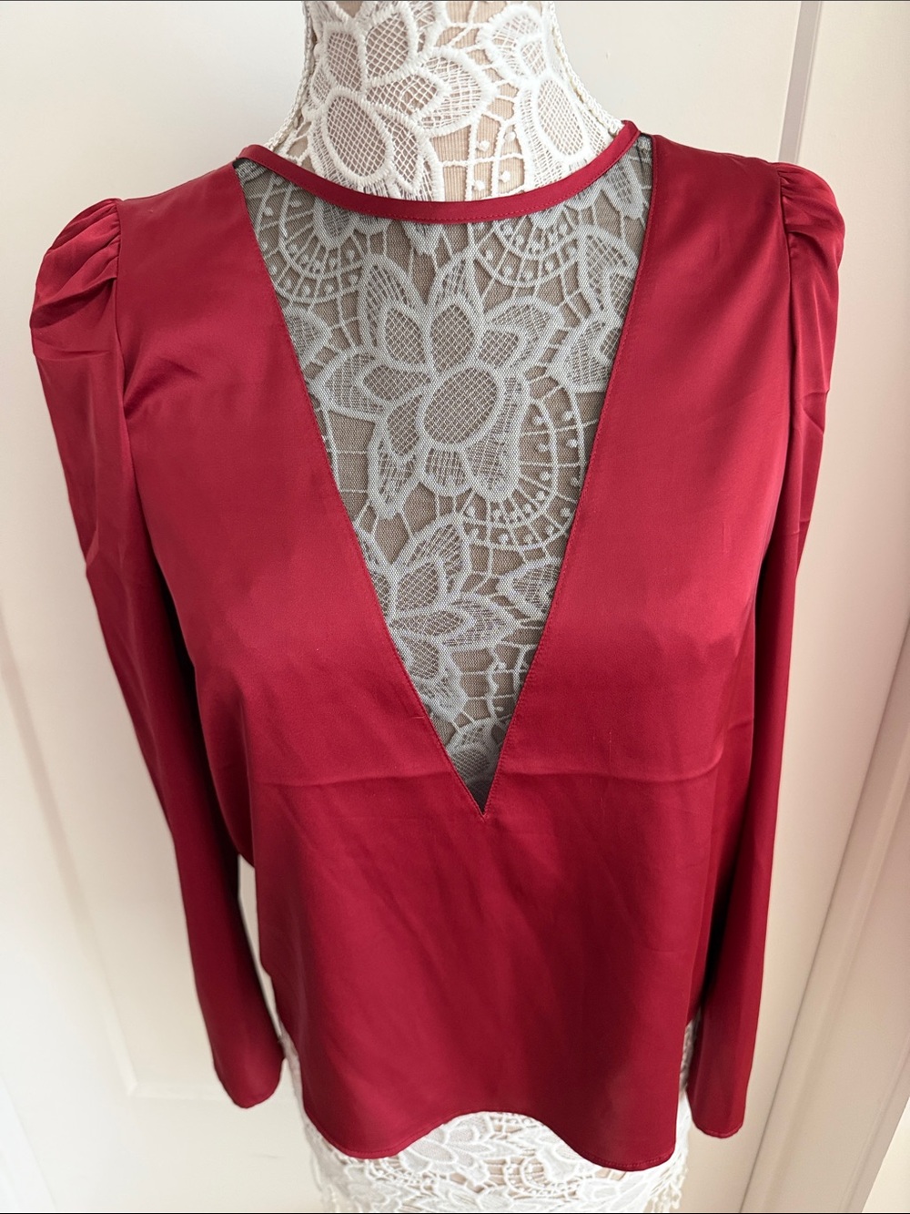 Express Satin Long Sleeve Blouse in Wine Red